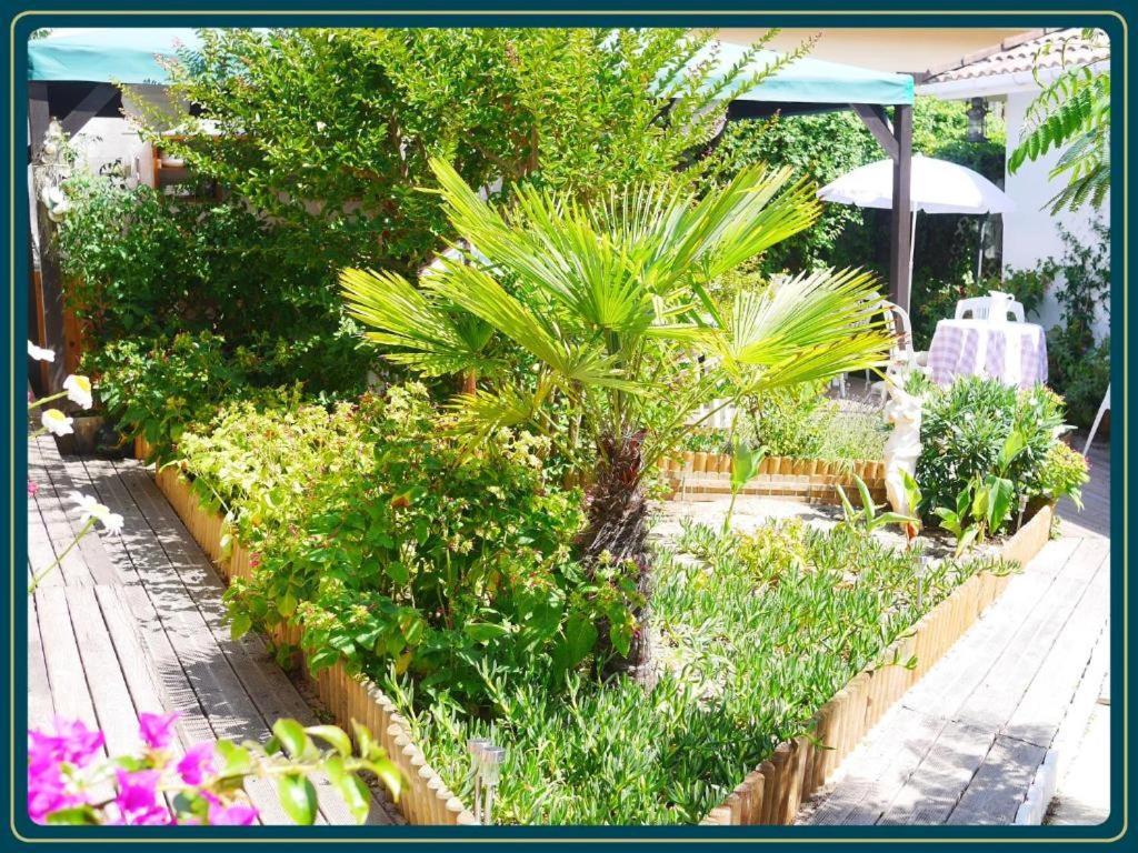 Les Embruns Daire Mimizan-Plage Dış mekan fotoğraf